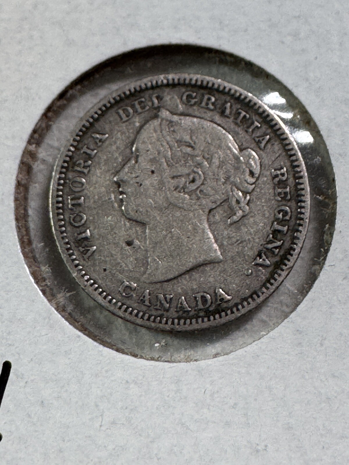 1886 Canada 5 Cents Silver Coin Small 6 Cleaned