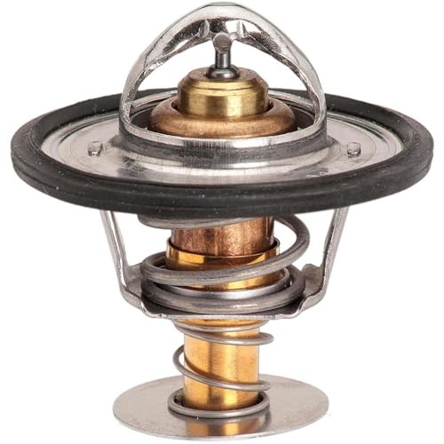 33019S Thermostat