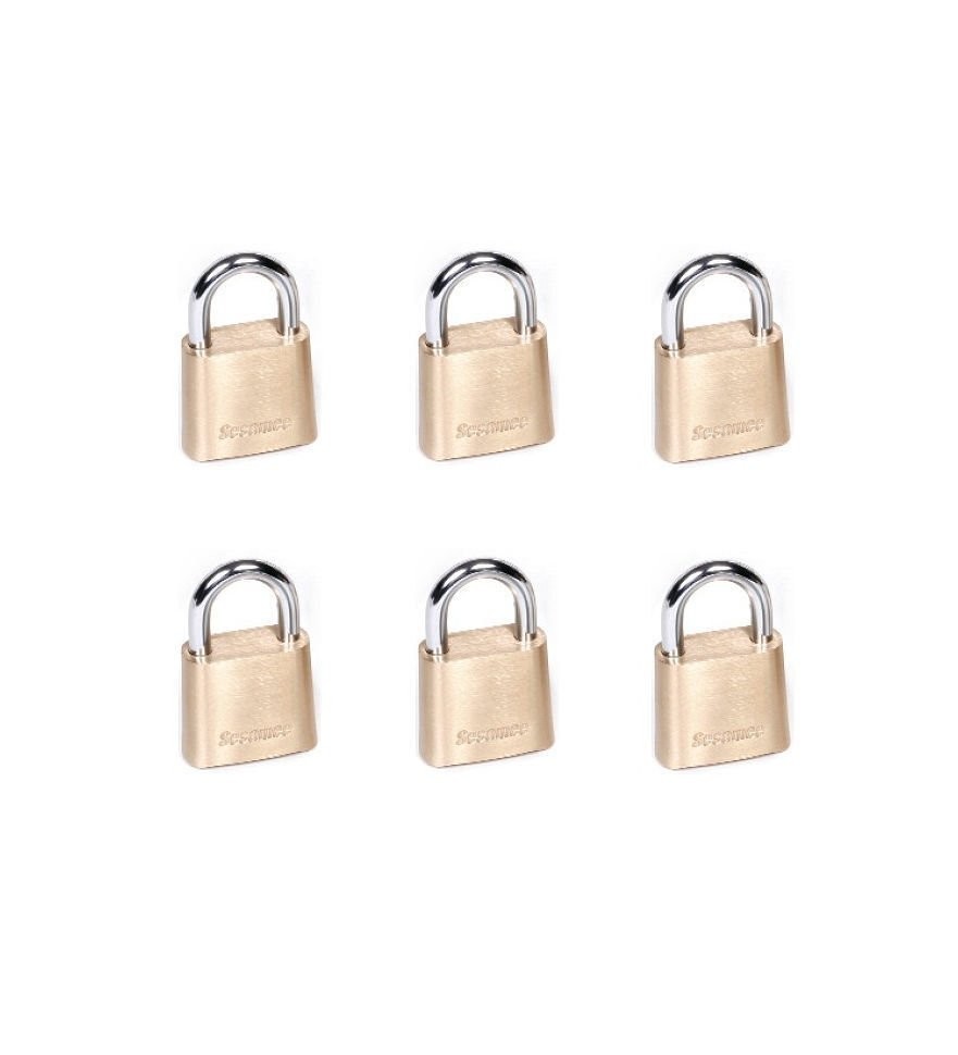 Sesamee 436 Padlock, CCL Sesamee Box Pack (6-Pack)