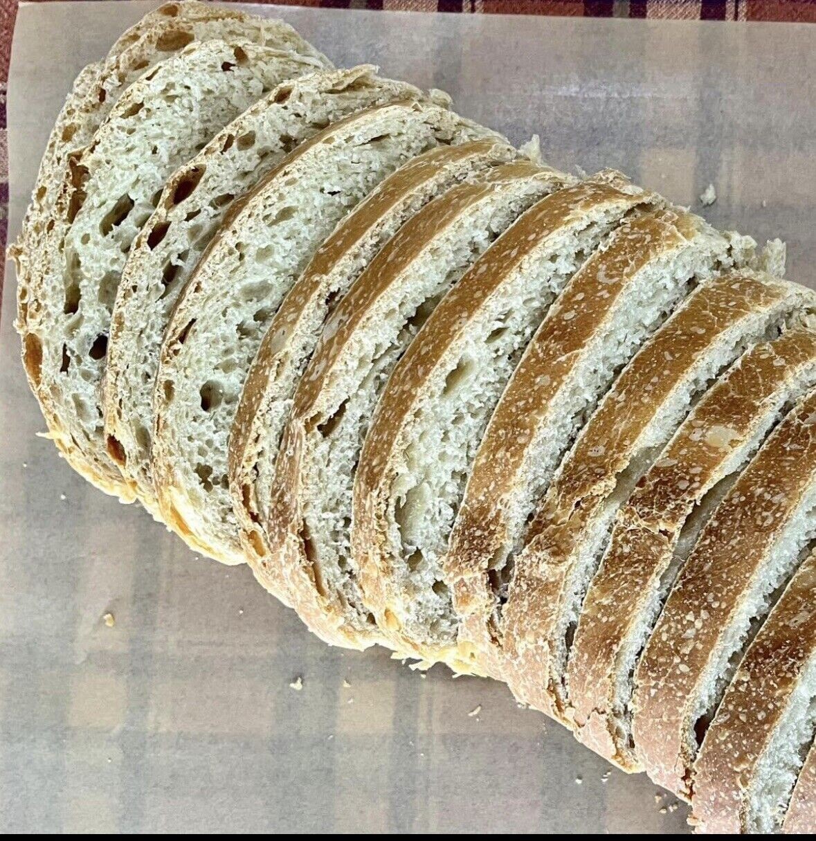 200+ Year Old Sourdough Starter