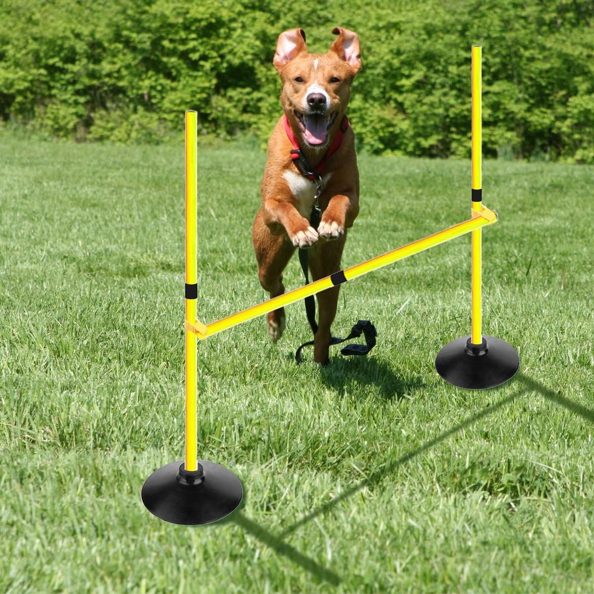 Voodans Adjustable Height Agility Hurdle Set Multi-Function Soccer 3.3 FT