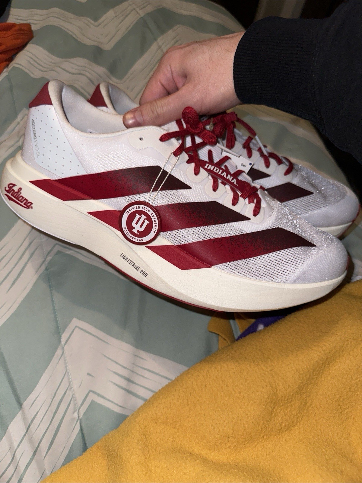 adidas adizero Evo SL Indiana Hoosiers Men's Running Shoes White/Red US 12