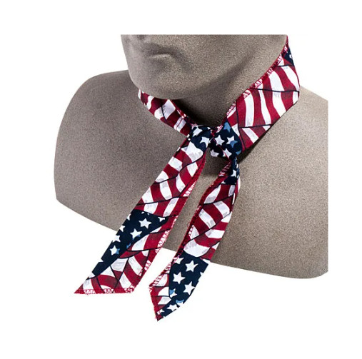 12 PK- Reusable Heat Stress Relief Cooling Neck Bandana Construction Landscaping