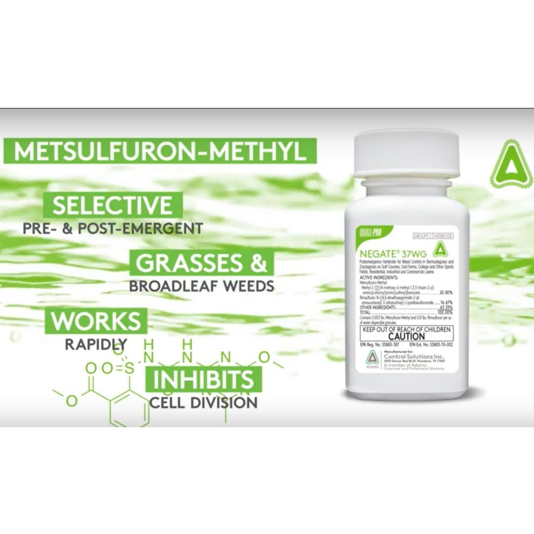 Negate 37WG Herbicide – Powerful, Dual-Action Weed Control for Turfgrass