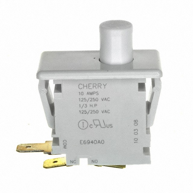 1 PC ZF  E69-40A SWITCH SNAP ACTION SPDT 10A 125V