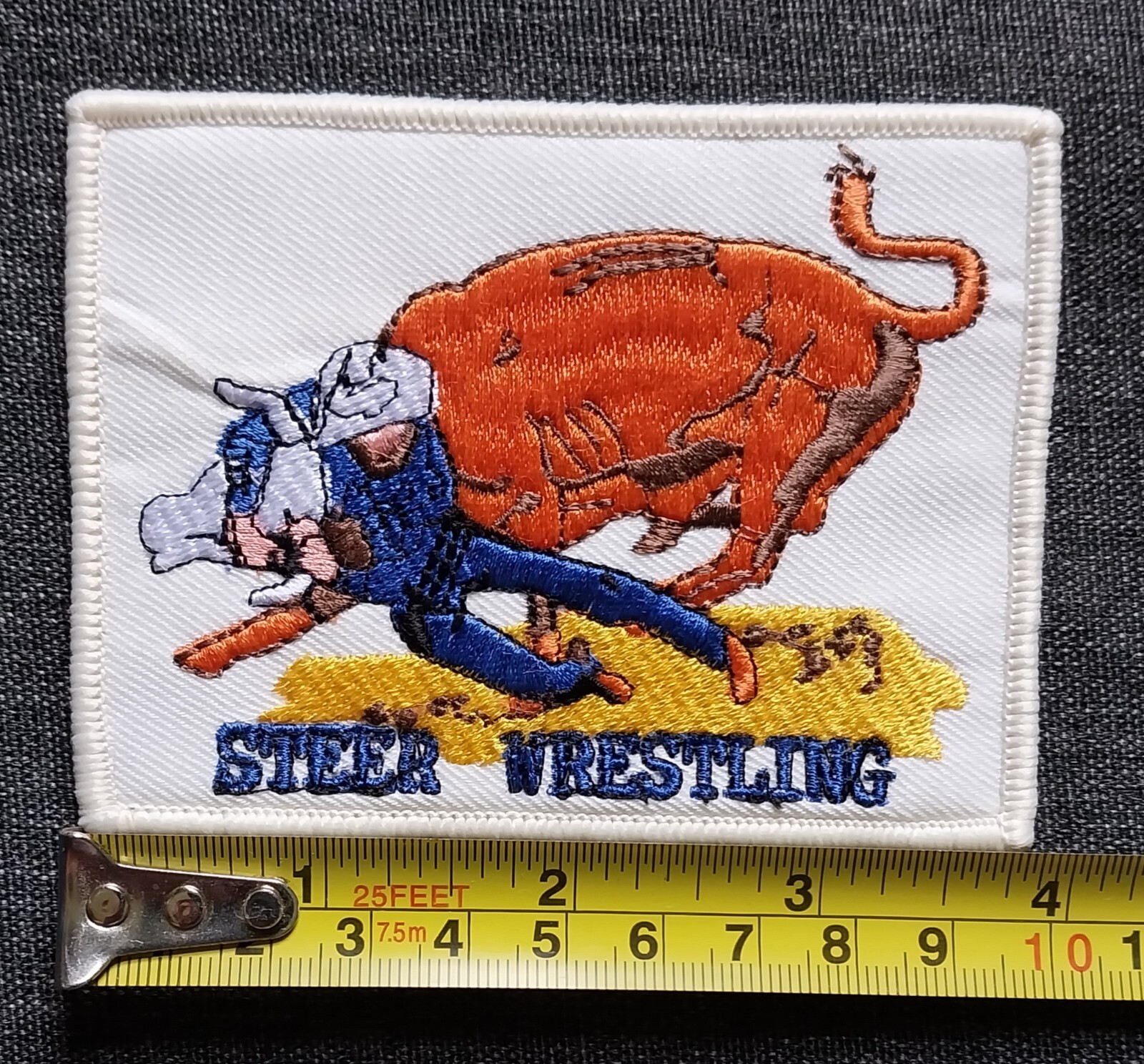 NFR PRO RODEO ~ STEER WRESTLING ~ Embroidered Sew On Patch