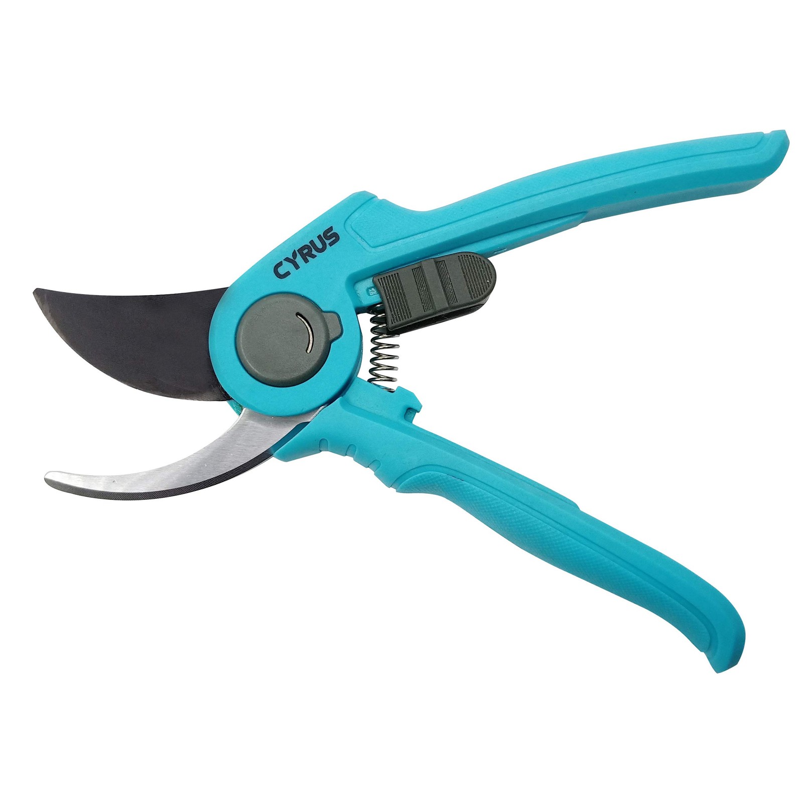 CYRUS 8 Inch Pruning Shears, Professional Garden Shears with 30*25*3cm, Blue