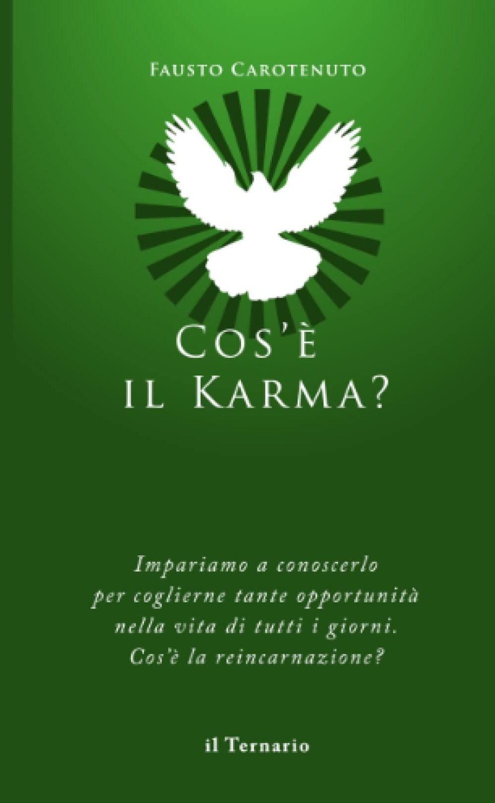 Fausto Carotenuto Cos'è il Karma? (Paperback) (UK IMPORT)