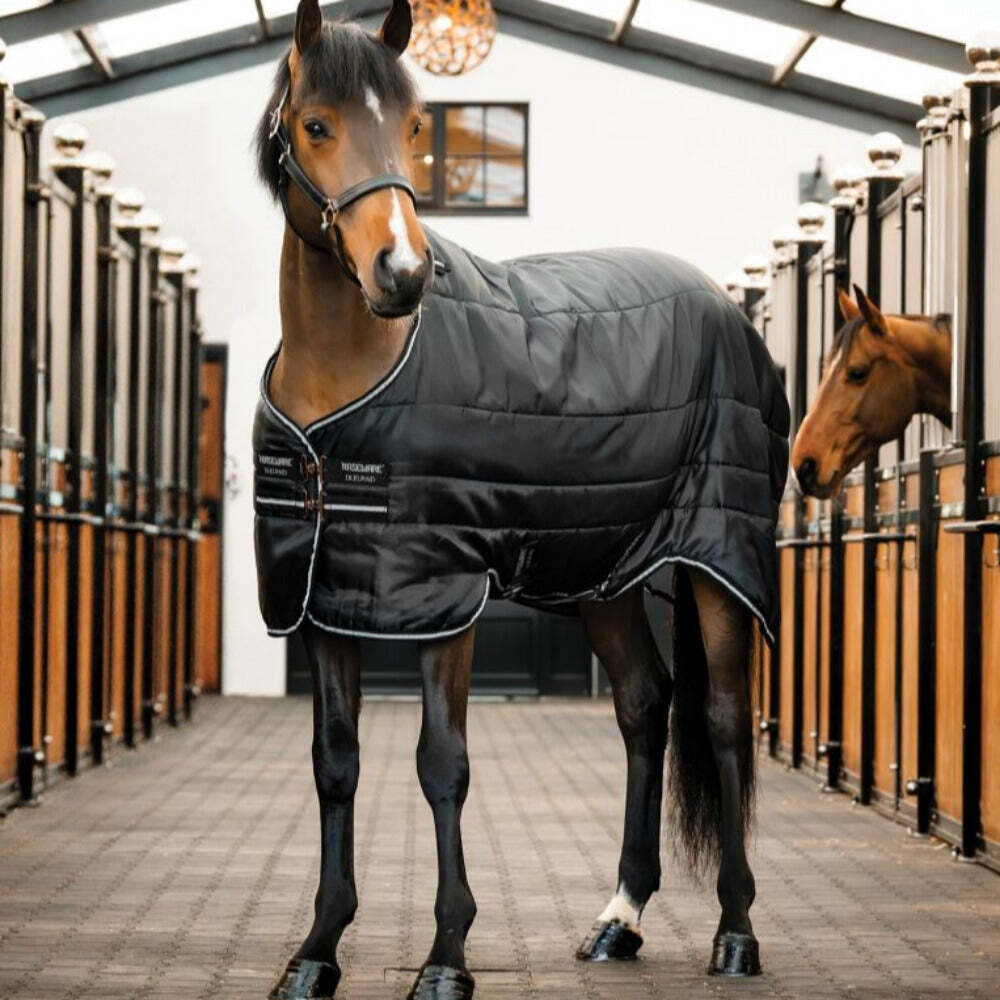 Horseware Easy-Layer Stable 100g