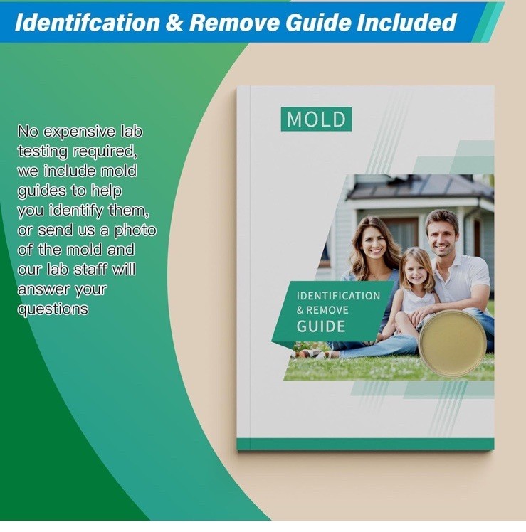 Mold Test Kit for Home - 12 Simple Detection Tests,Test HVAC System,Home Surf...