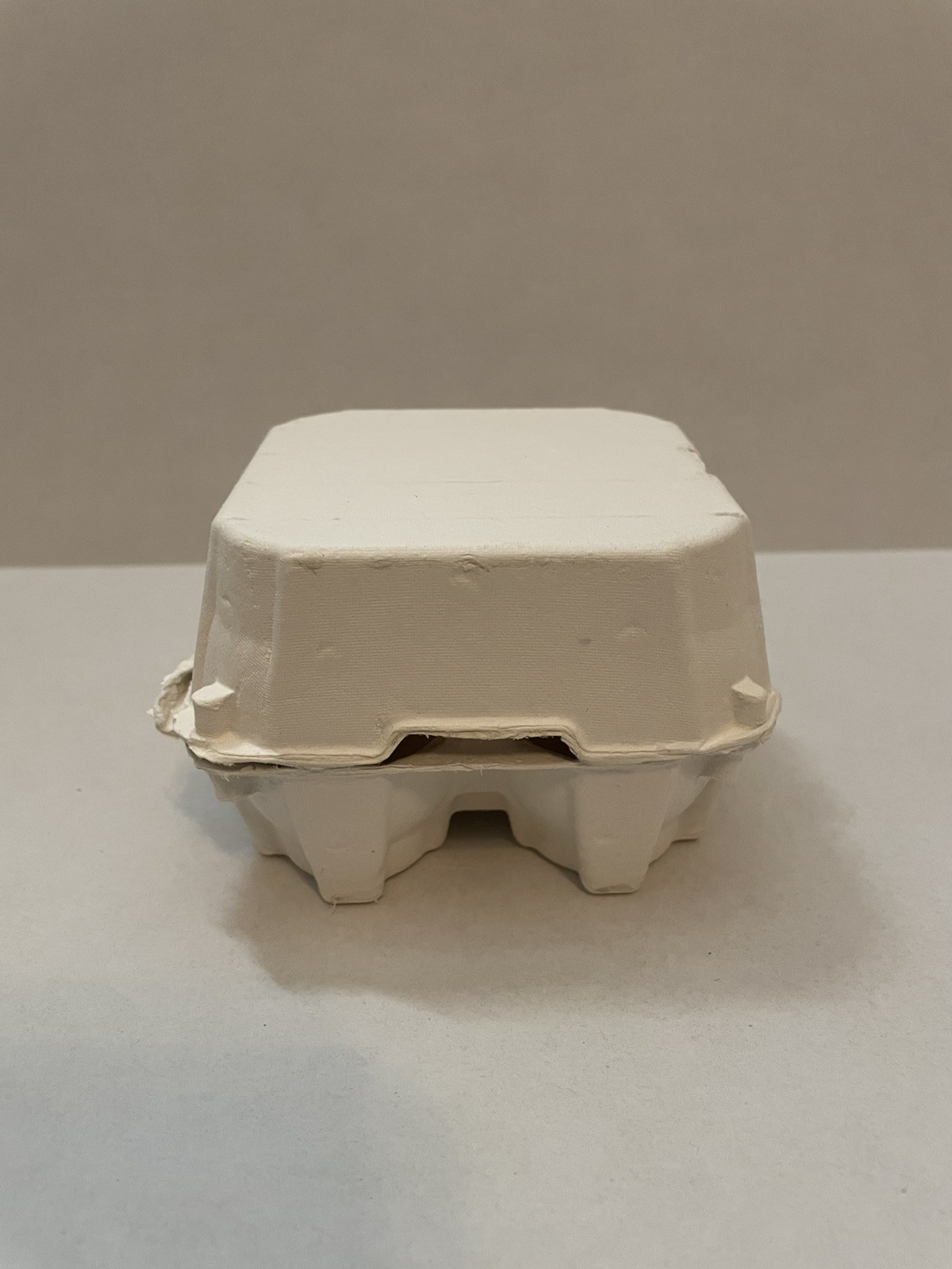 4 Count Paper Pulp Egg Carton (3 pack)