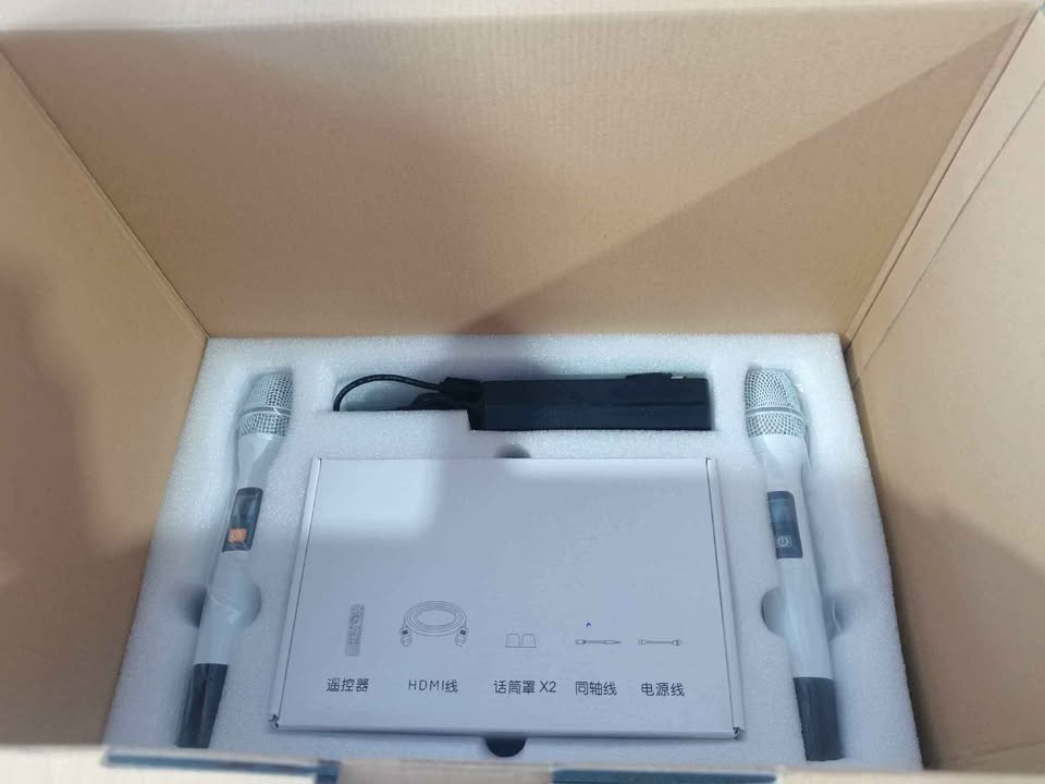 6 in 1 Karaoke Professional Karaoke System
