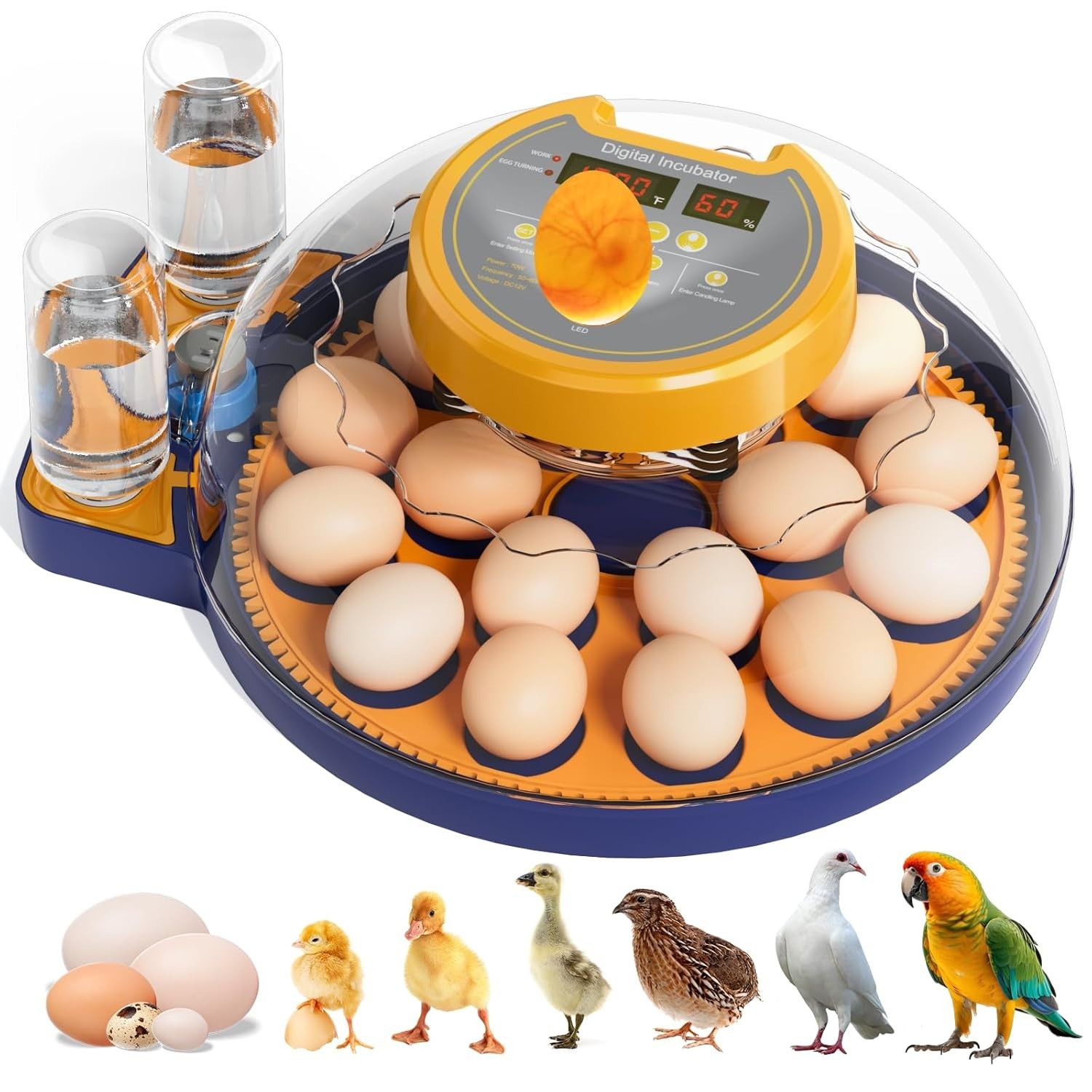 18 Egg Incubator for Hatching Eggs, Chicken Incubator with Automatic Turner,