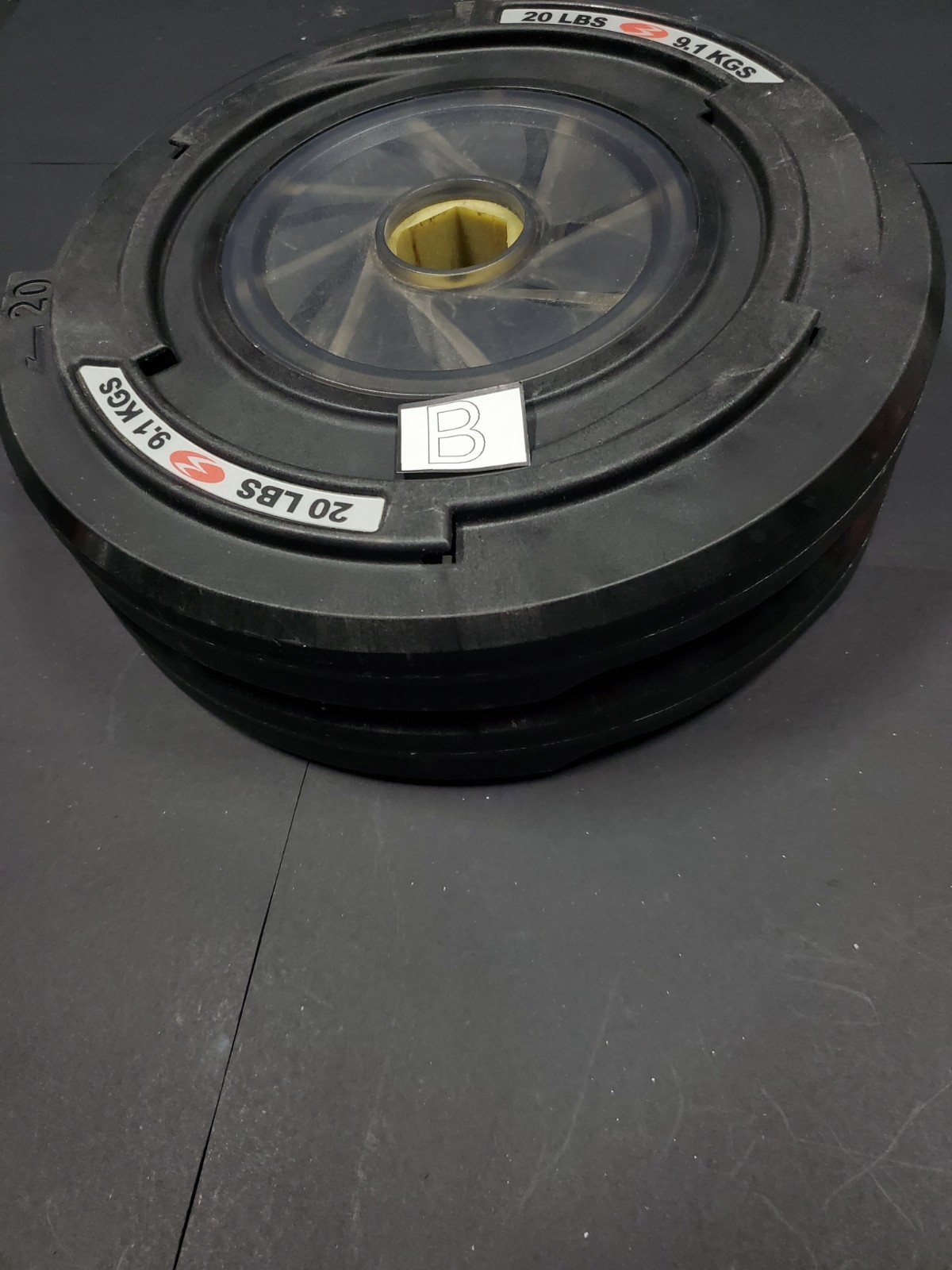 Bowflex Revolution 20lb Spiraflex Weight Plates Pair (40 lb Total)