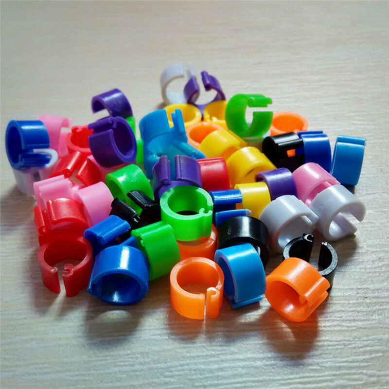 New 100pcs Bird Rings 8mm Leg Bands Clip Pigeon Dove Chicks Duck Bantam Poultry