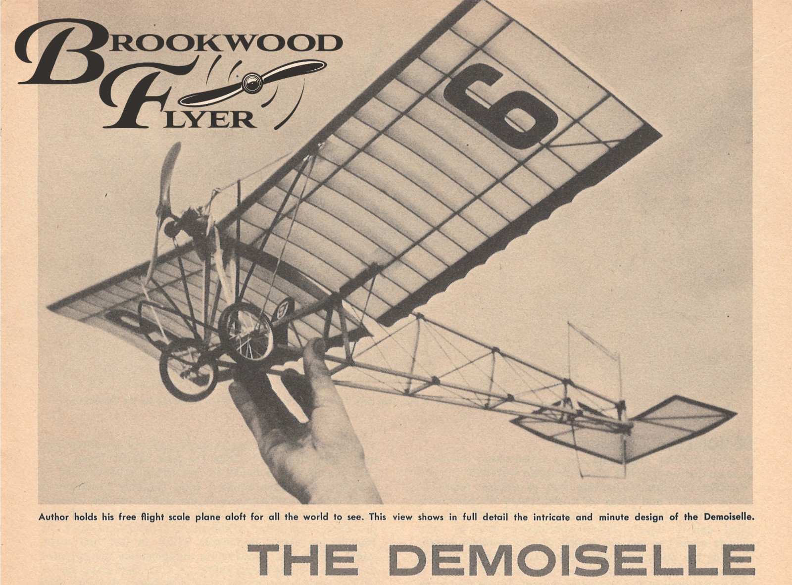 DEMOISELLE PLAN + CONSTRUCTION ARTICLE & Scale Data for 1/2A FF Model Airplane
