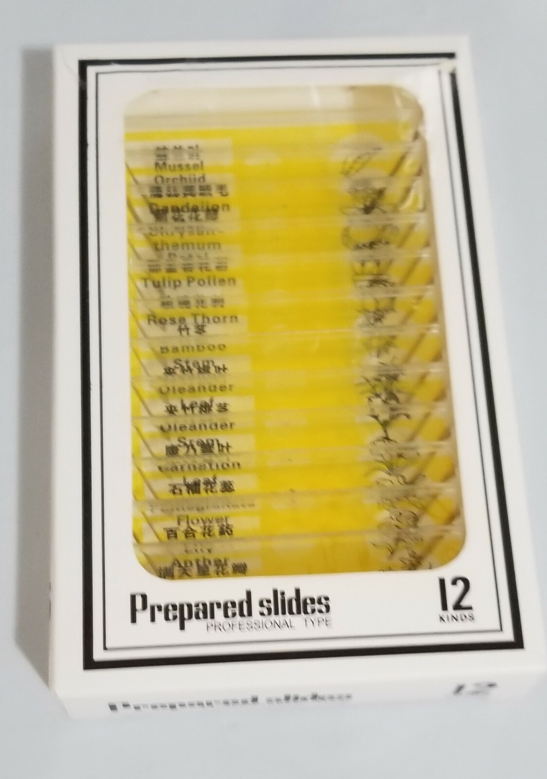 12 Prepared Slides Professional Type Hard Plastic Plants Flowers