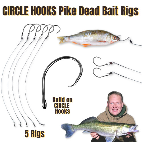Circle Hooks Deadbait Rigs Pike – 5 Predator Traces for Pike & Zander - UK PIKE