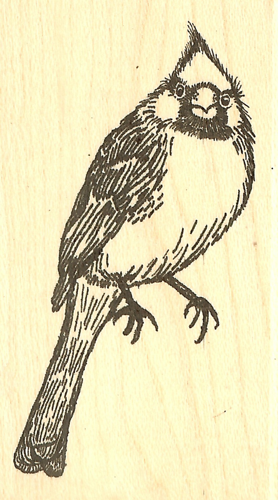 BIRD Cardinal Watching Bird Wood Mounted Rubber Stamp JUDIKINS 3830E New