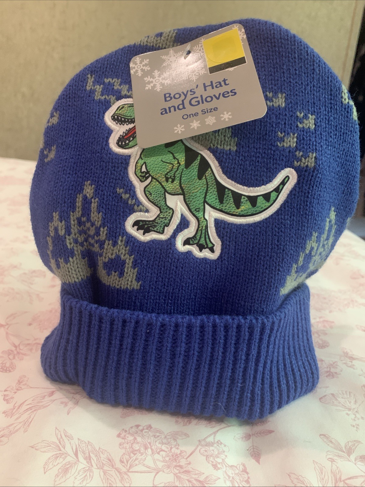 Boys Hat Glove One Size Dinosaur