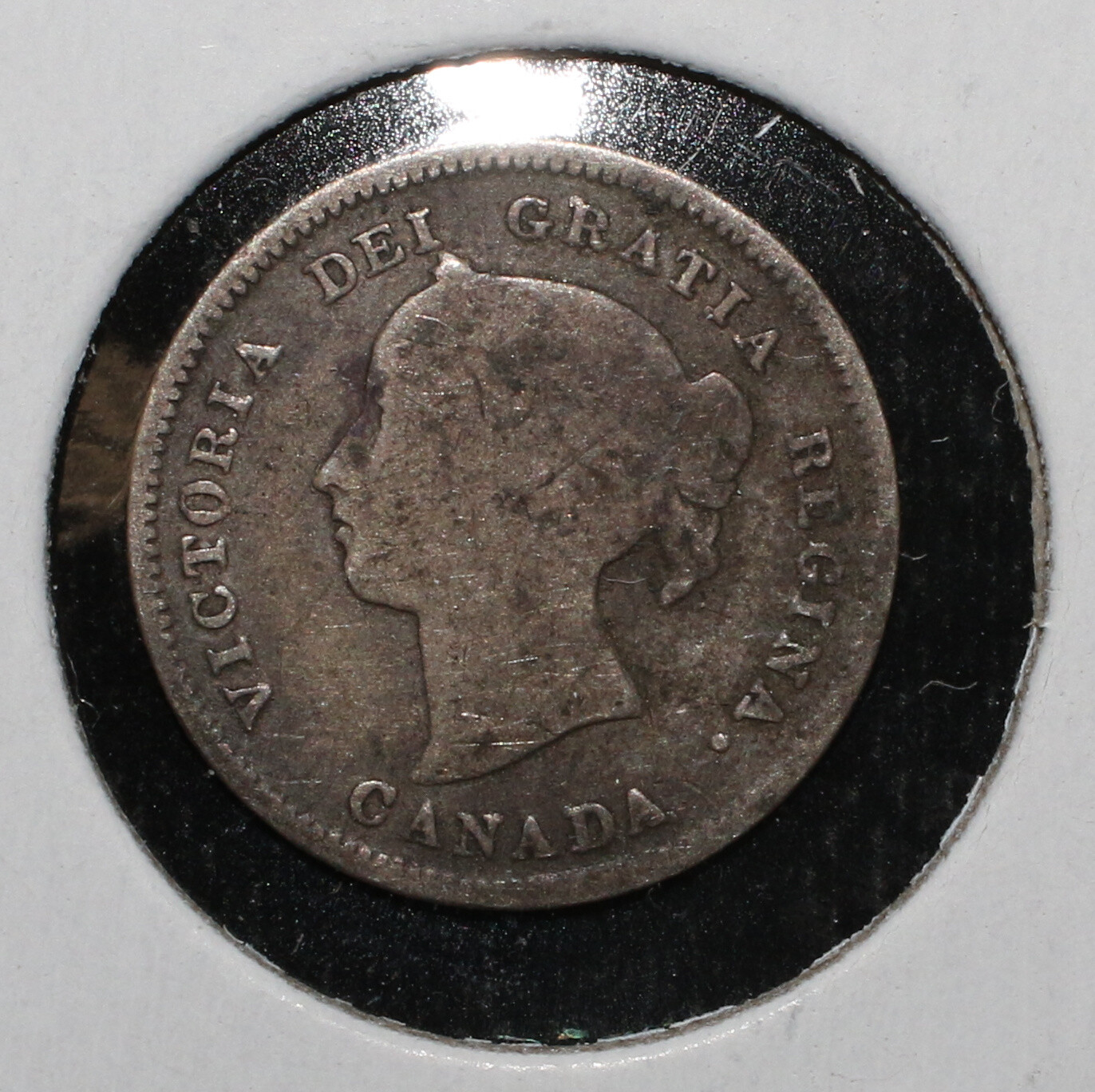 1886 Canada 5 Cent Silver Coin - 03971