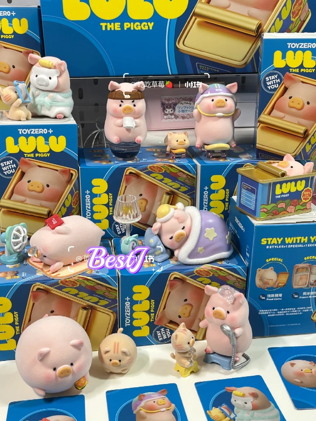 Toyzero+ LuLu The Piggy Stay With You Series Confirmed Figure Toys New #BestJ