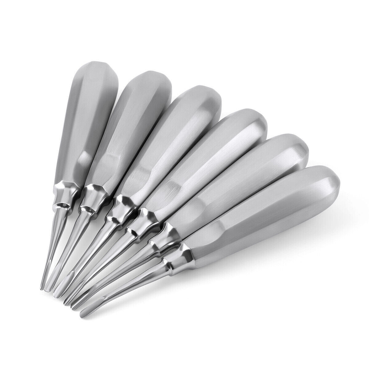 6 Pcs Dental Tooth Extraction Root Elevators #1-6 Set Luxating Luxation Elevator