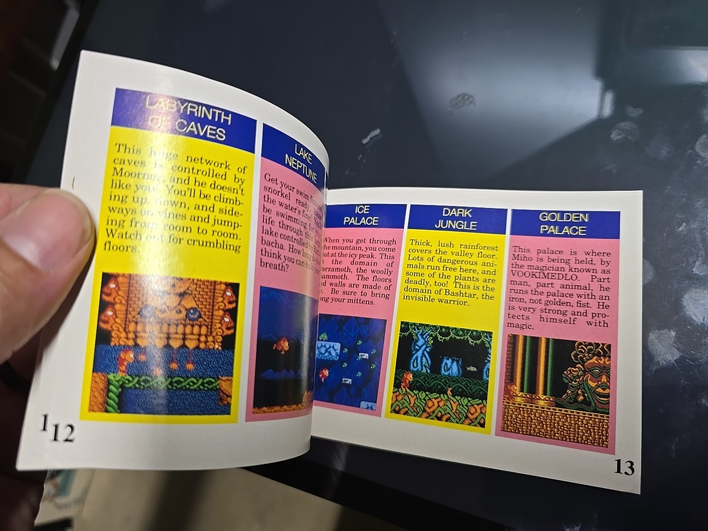 Toki NES Nintendo Instruction Manual Only Authentic