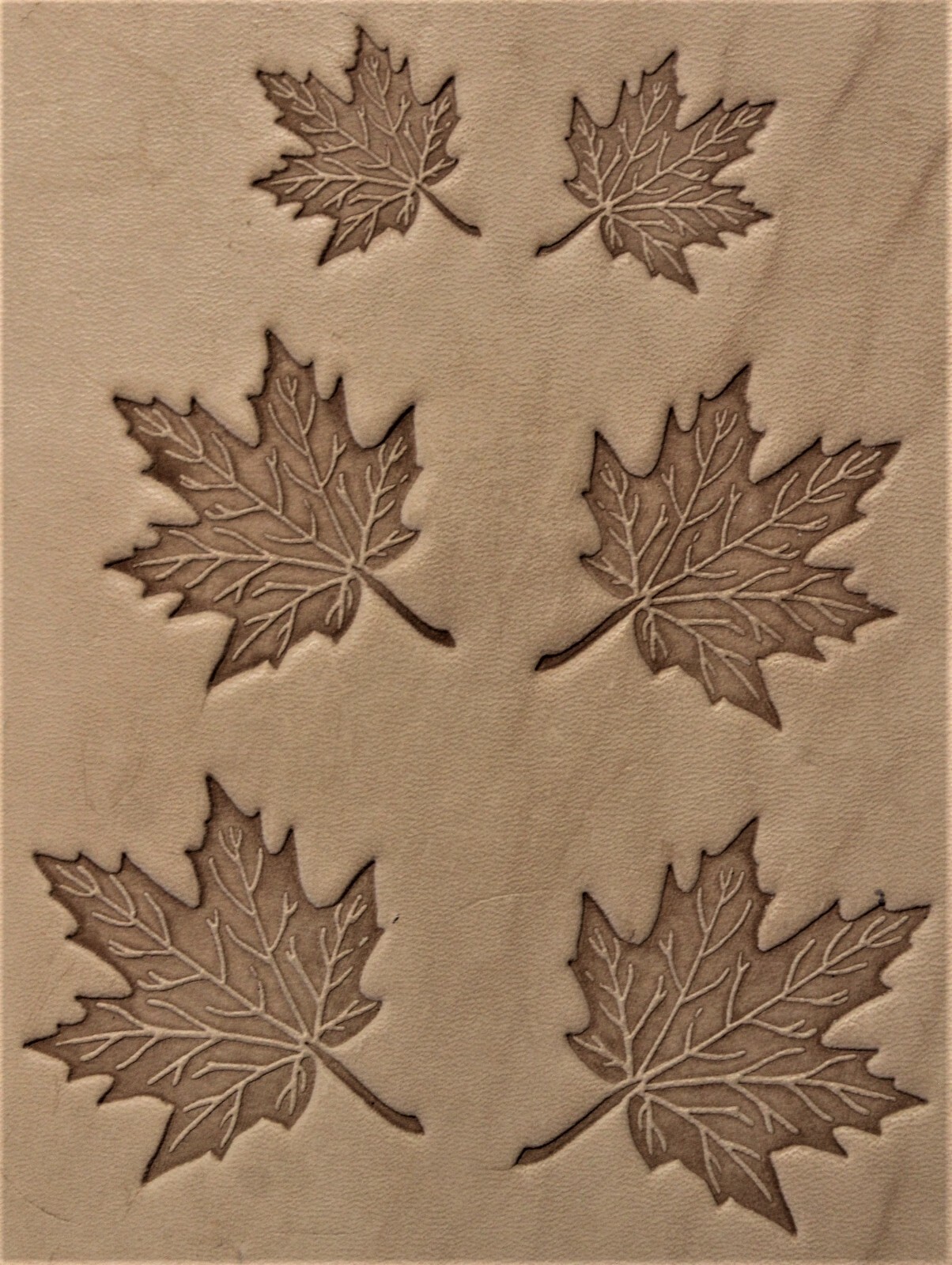 ACRYLIC Leather Embossing Stamp MAPLE LEAVES SET OF SIX for Veg Tanned Leather