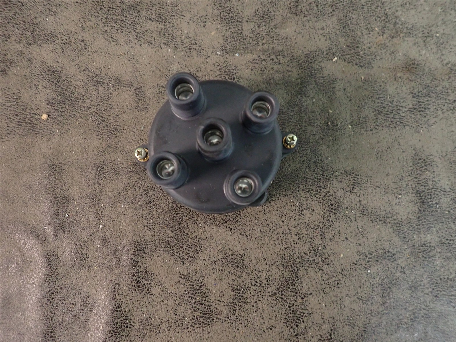 NEW WVE 5D1163 Distributor Cap (G216)