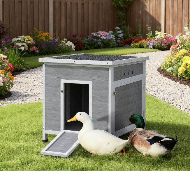 Wooden with Openable Roof Cage, Removable Floor, Double Doors X
