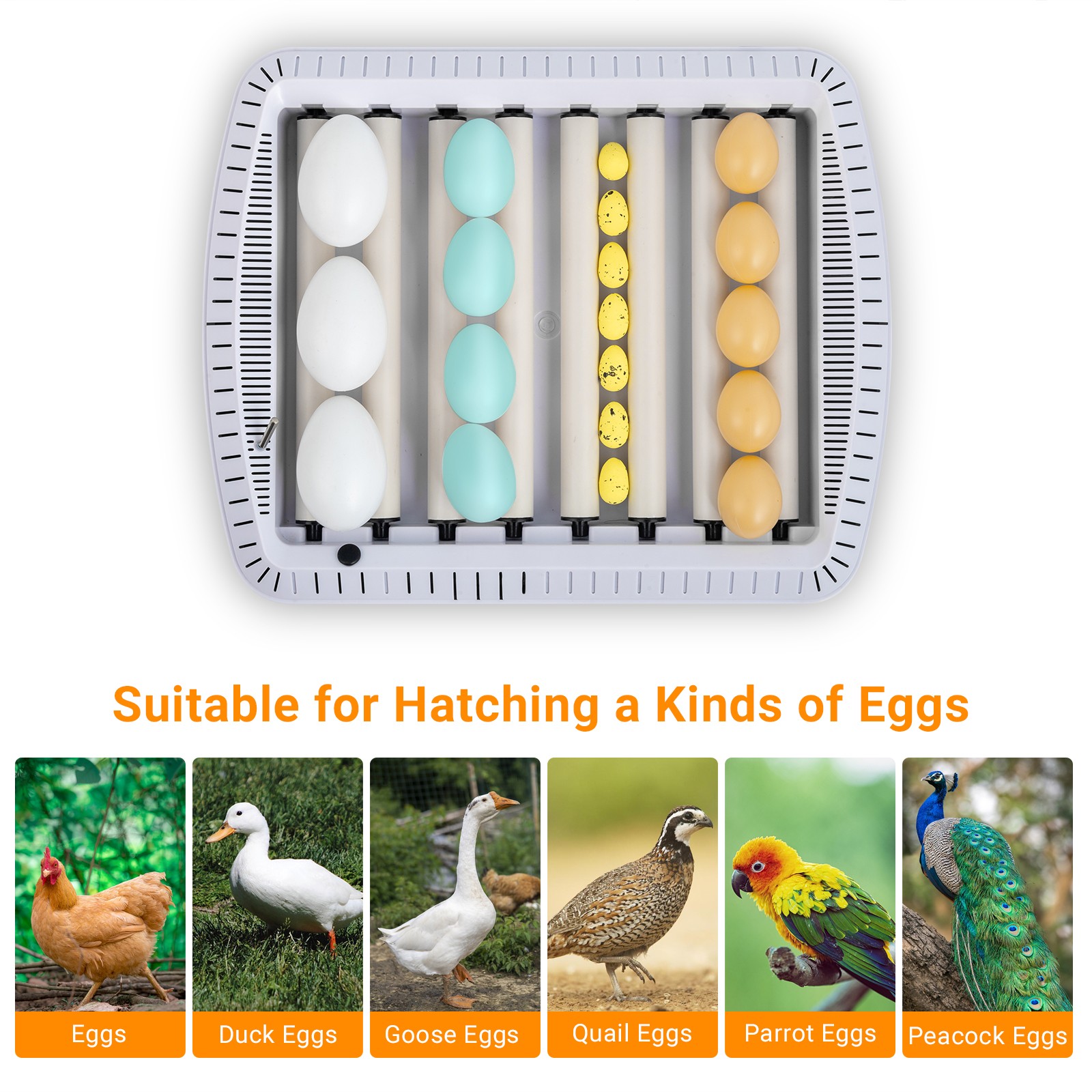 35 Egg Incubator with Automatic Egg Turning, Temperature and Humidity Control