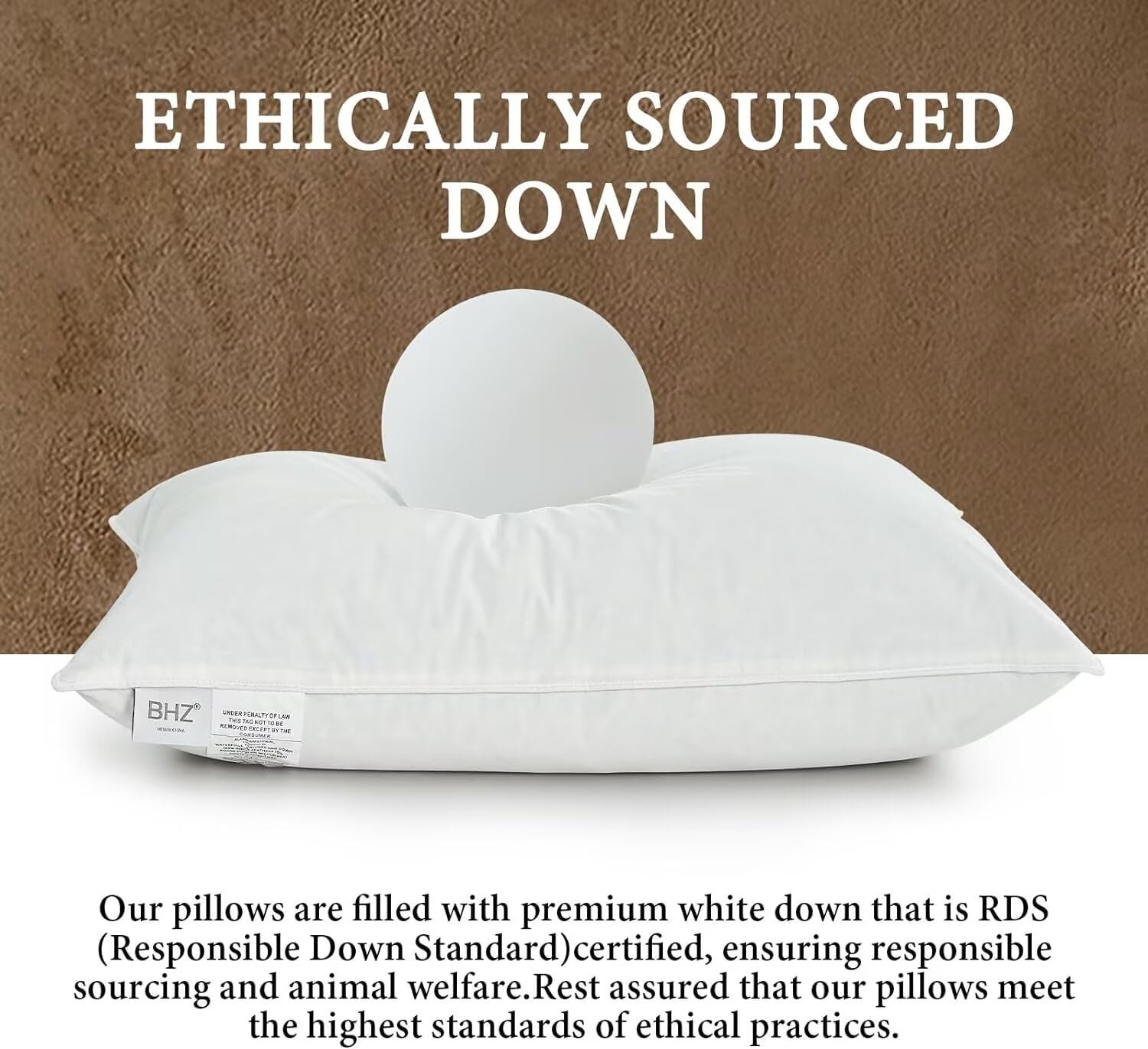 Queen Bed Pillow, Goose Down Feathers, Soft Support, Cotton Fabric, White
