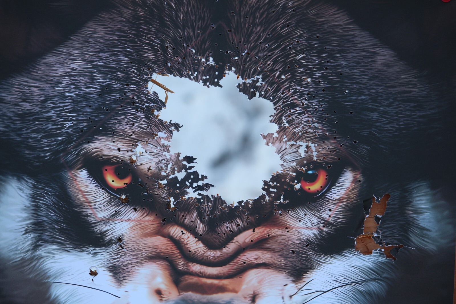 Paper Targets for Handgun Practice High Quality Wolf Target, shooting practice