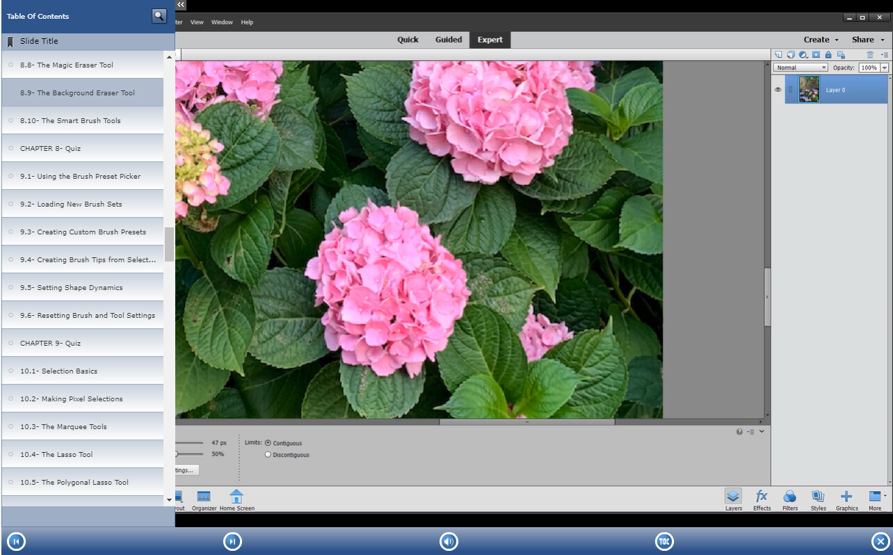New Learn PHOTOSHOP ELEMENTS 2020 Training Tutorial DVD and Digital Course