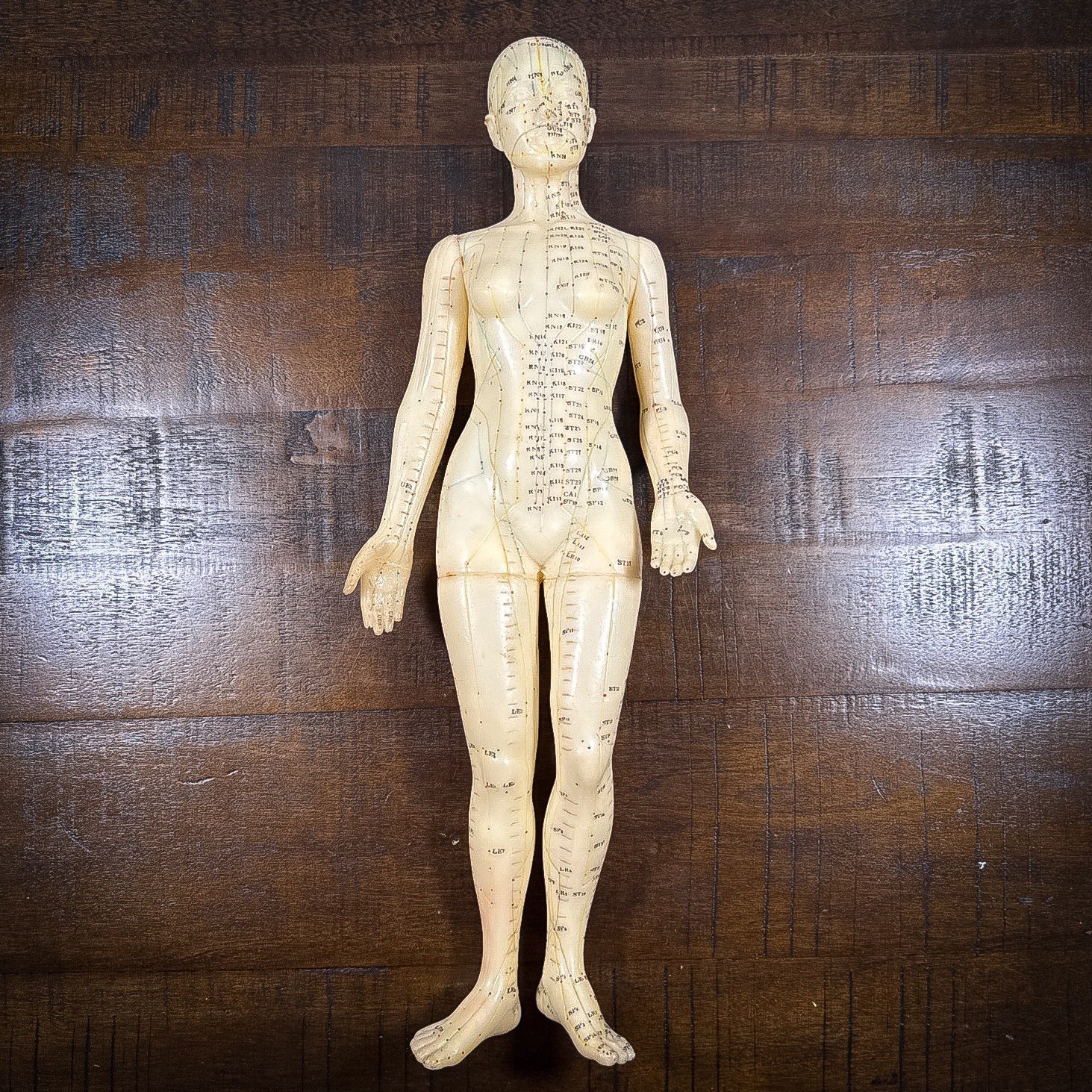Medical Acupuncture 18" female figure Chinese medical - No Stand - USED
