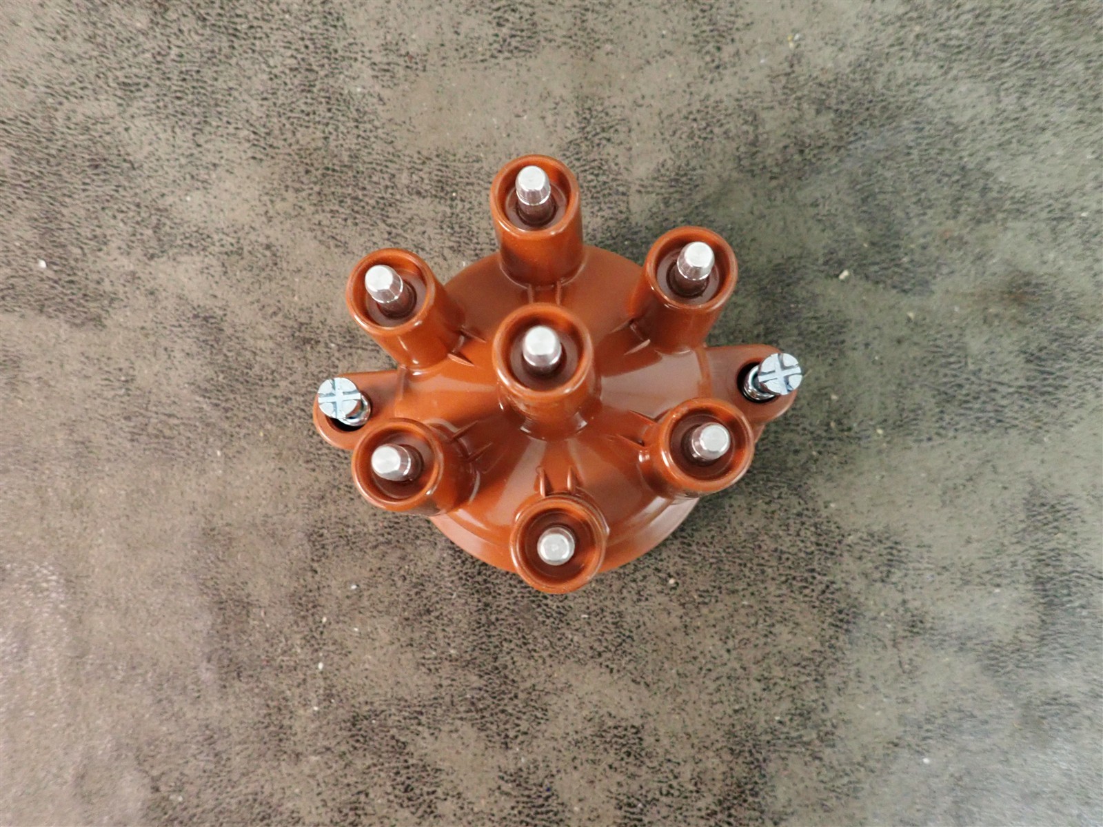 NEW WVE 5D1220 Distributor Cap (G218)