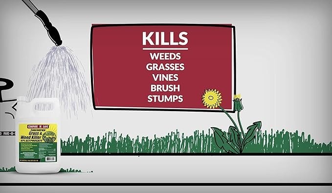 Compare-N-Save Concentrate Weed and Grass Killer - 1 gal