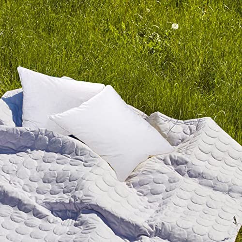 14"x24" Pillow Inserts Soft Feather Pillow Set of 2 14×24inches（Pack of 2）