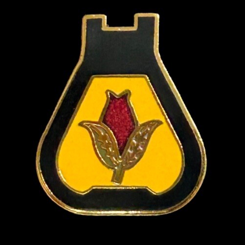 U.S. Army 24th Cavalry Pin National Guard