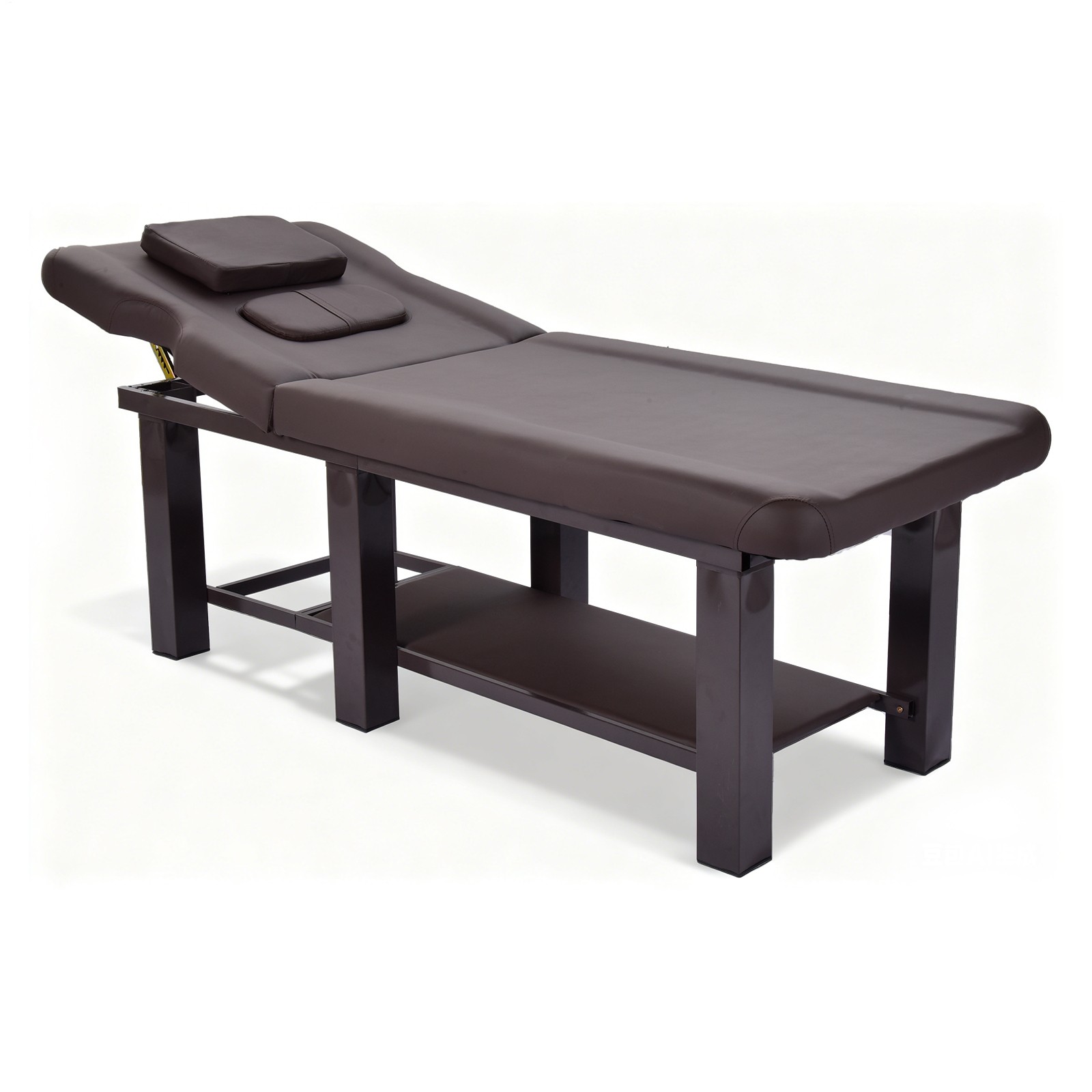 Stationary Massage Table, Heavy Duty 440LBS Physical Therapy Table Spa Bed