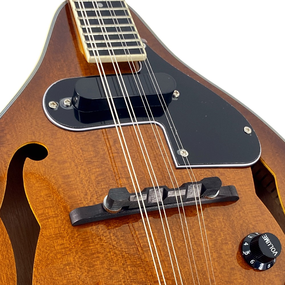Acoustic Electric Mandolin Kit, A-Style 8String Mahogany Mandolin,Starter Bundle