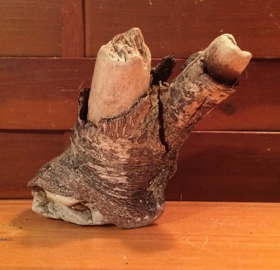 Beautiful 5" DRIFTWOOD Art Piece Terrarium Taxidermy Aquarium Beach DECOR
