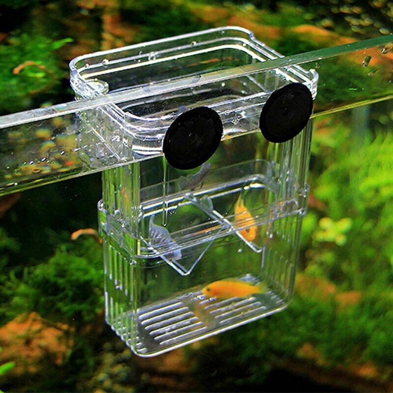 Aquarium Fish Tank Breeding Breeder Rearing Box Hatchery Isolation Case, Small