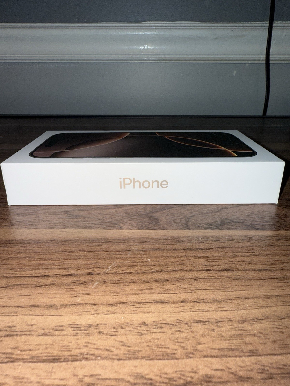 iPhone 16 Pro Box Only