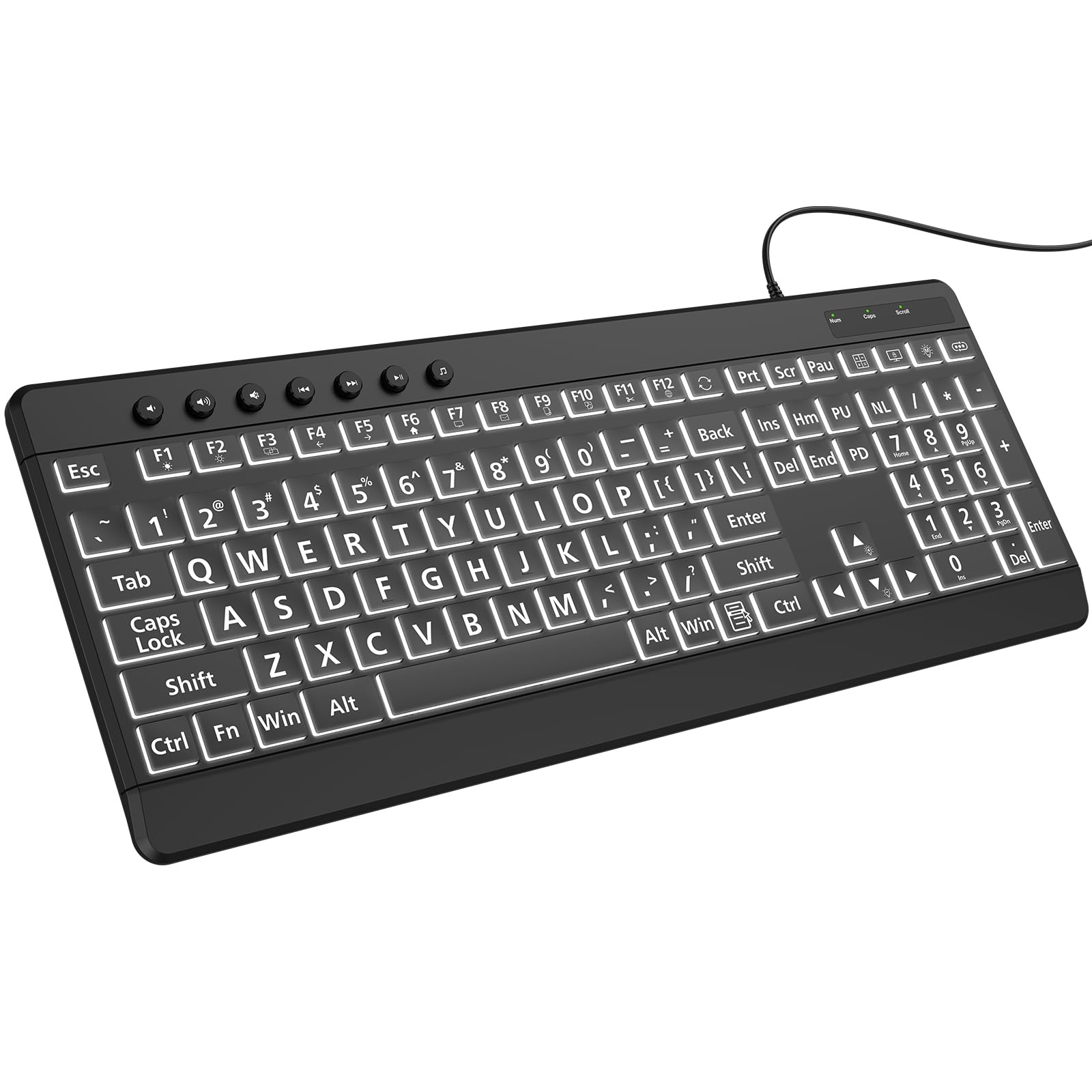 EDJO Large Print Backlit Wired Keyboard, Light Up USB Keyboard with 7Colors B...