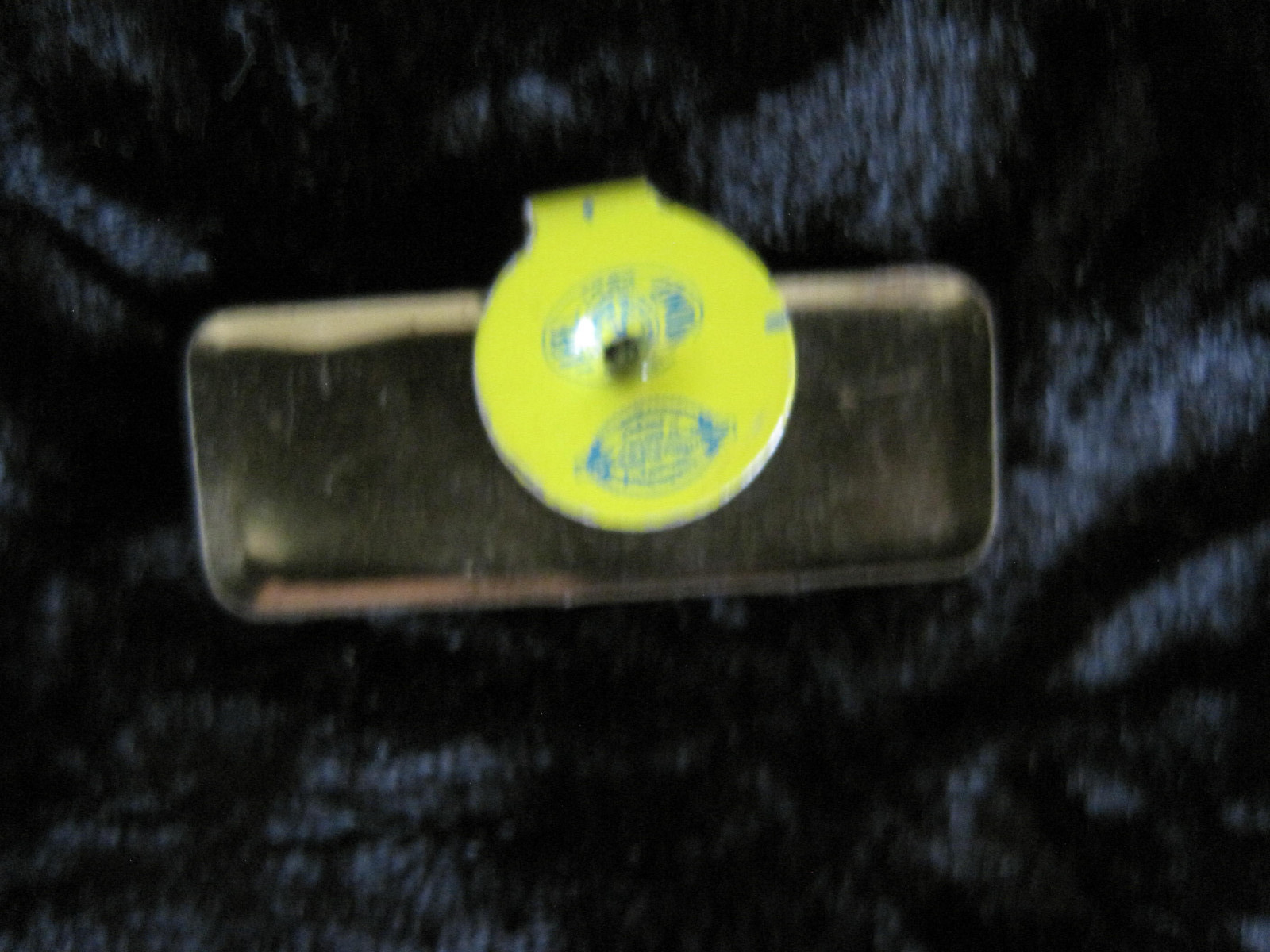 Allott Political Pin Small