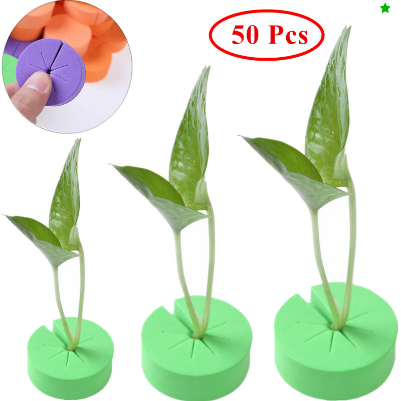 50x Foam Inserts Garden Clone Collar Sponge Block Soilless Cultivation for Trees