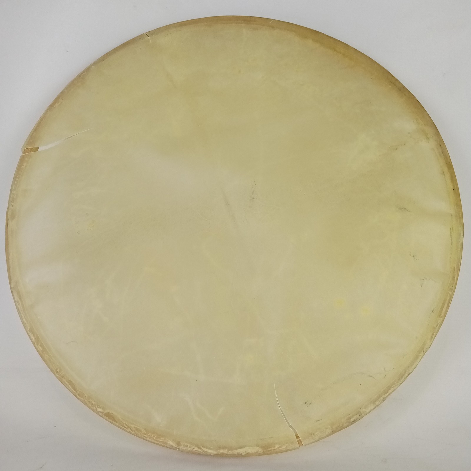 Leedy/Ludwig Snare 14" Calf Skin Drum Head Slunk Resonant Vintage 20s Maple Hoop