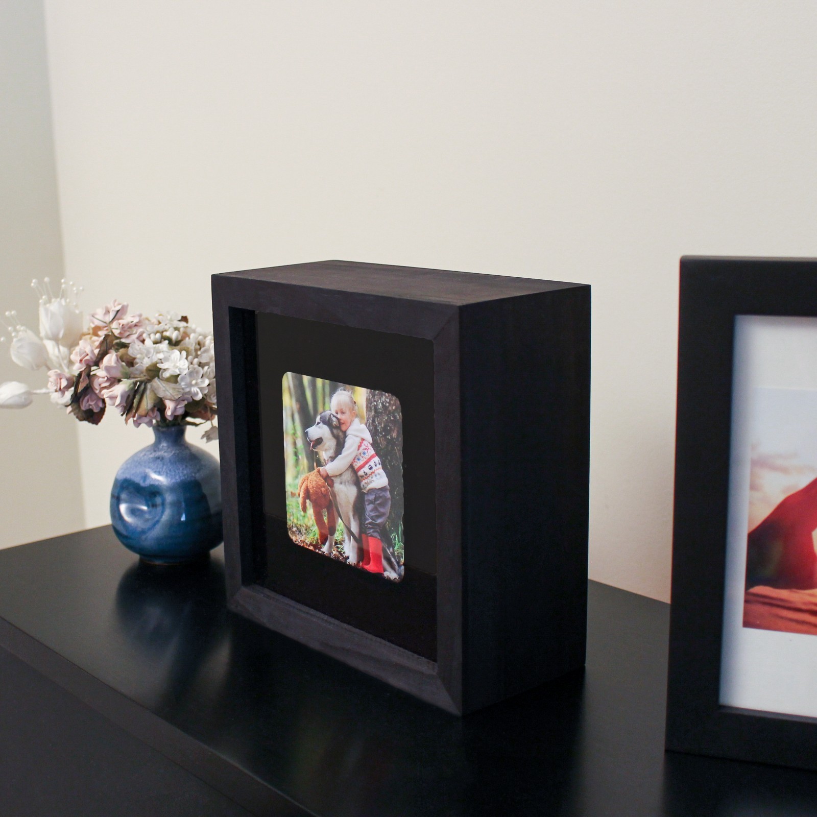 Conceal-a-Cam Camera Enclosure - Black